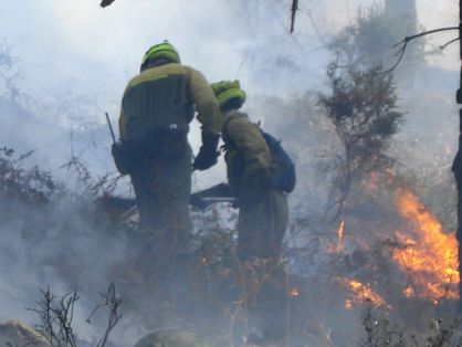 En apoyo de la Comunidad Autónoma de Castilla y León 

