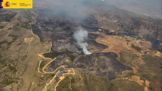 Hoy domingo, 14 de julio 