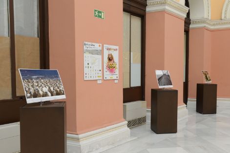 ISABEL BOMBAL HA INAUGURADO HOY LA EXPOSICIÓN DEL I CONCURSO FOTOGRÁFICO “UN MUNDO RURAL VIVO”