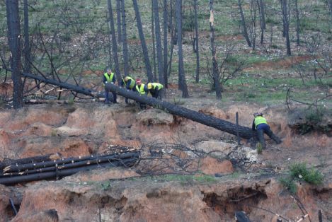 EJECUTADAS POR EL MINISTERIO DE AGRICULTURA, PESCA Y ALIMENTACIÓN POR VÍA DE EMERGENCIA 