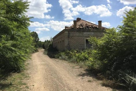 DIRIGIDAS POR EL PROGRAMA DE CAMINOS NATURALES DEL MINISTERIO 