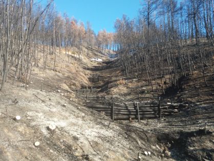 El Ministerio de Agricultura, Pesca y Almentación ha ejecutado las obras 