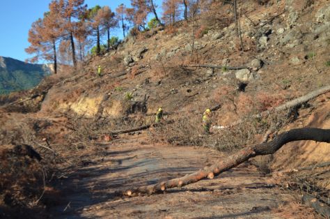 El Ministerio de Agricultura, Pesca y Almentación ha ejecutado las obras 
