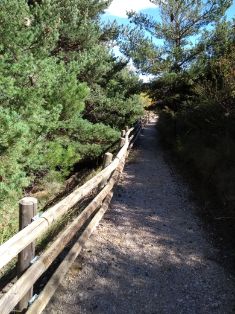 EL MINISTERIO ES PROMOTOR DE ESTE CAMINO 