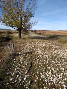 DISCURRE POR LA PLATAFORMA DE LA ANTIGUA LÍNEA DEL FERROCARRIL SANTANDER-MEDITERRÁNEO