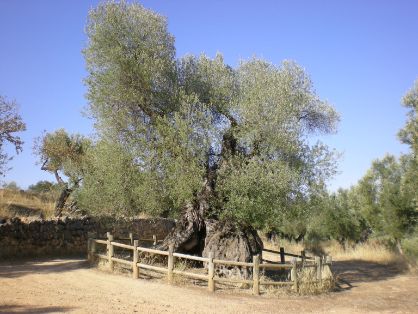 EL PROYECTO, AHORA COMPLETADO, OFRECE AL USUARIO NUEVAS POSIBILIDADES DE OCIO A TRAVÉS DE LAS COMARCAS POR LAS QUE DISCURRE 