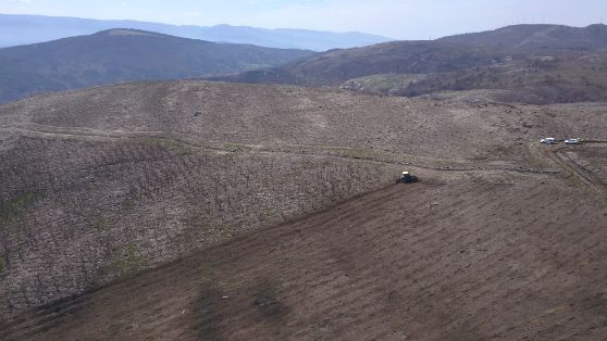 SE PRODUJO A MEDIADOS DE OCTUBRE DE 2017 