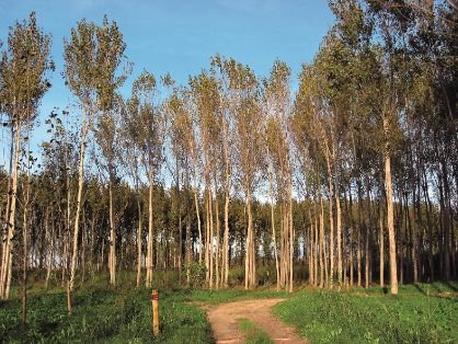 Cantabria, Castilla y León, País Vasco, Navarra, La Rioja, Aragón y Cataluña