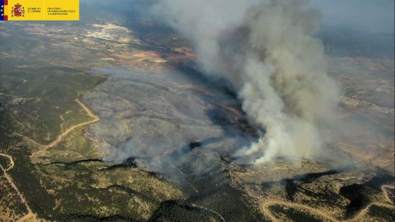 Para apoyar a la Comunidad Valenciana