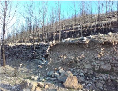 Hoy, en Consejo de Ministros 