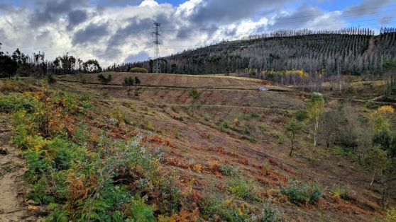 SE PRODUJO EN OCTUBRE DEL PASADO AÑO 