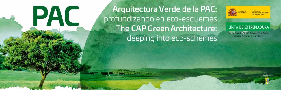 DEL 29 AL 31 DE MAYO EN ZAFRA (BADAJOZ) 