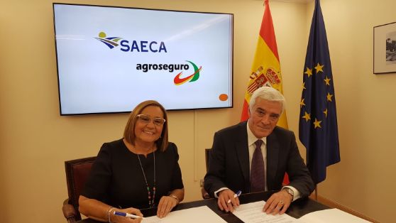 UNA NUEVA MEDIDA PARA FAVORECER LA CONTRATACIÓN DEL SEGURO AGRARIO 