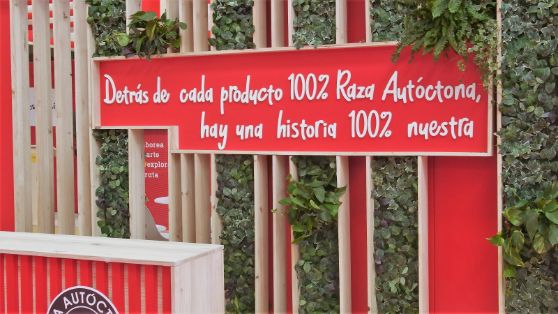 DEL 19 AL 22 DE MARZO EN ZARAGOZA