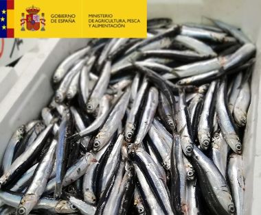 Publicado hoy en el Boletín Oficial del Estado