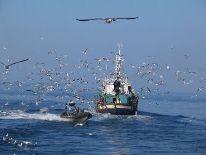 Desarrollo normativo de la Secretaría General de Pesca 