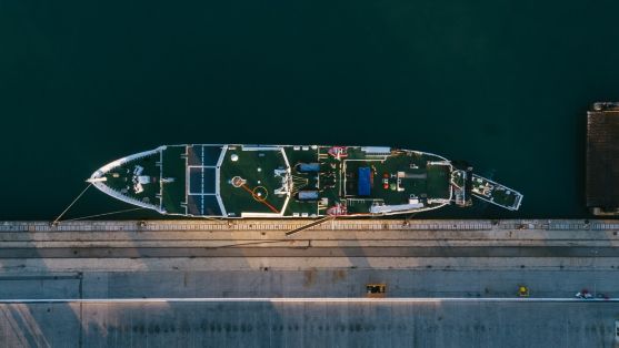 Del 30 de octubre al 10 de noviembre, 