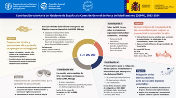 En Málaga, la primera semana del mes de noviembre