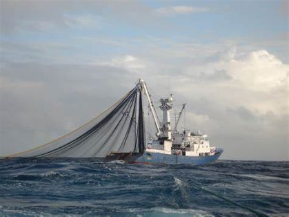 PESCA EN EL ATLÁNTICO 