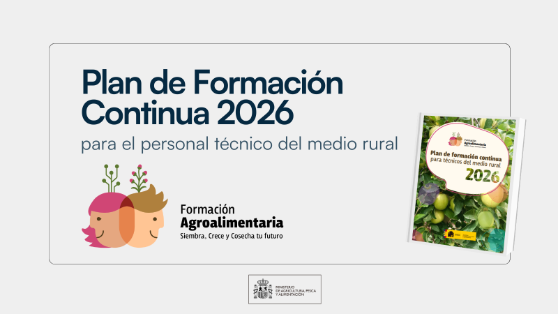 Publicado en la web el plan para 2026