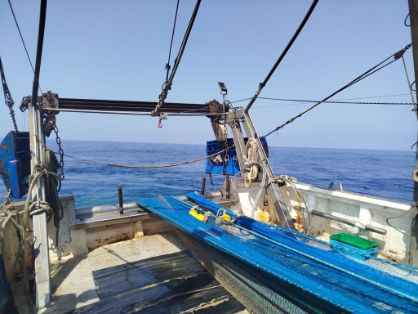 Desde hoy y hasta el 22 de julio en aguas de la costa de Alicante