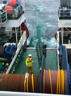 A partir de hoy y hasta el 6 de agosto