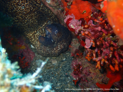 El aniversario se celebra el viernes 12 de julio