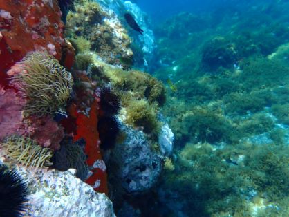 La orden se ha publicado hoy en el BOE