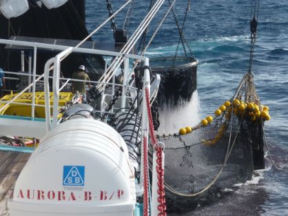 Tras años de inactividad, ha entrado en vigor este mes de julio