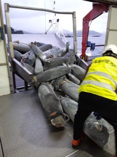 Lucha contra la pesca ilegal