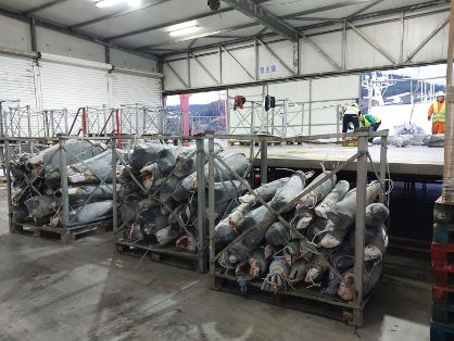 Lucha contra la pesca ilegal