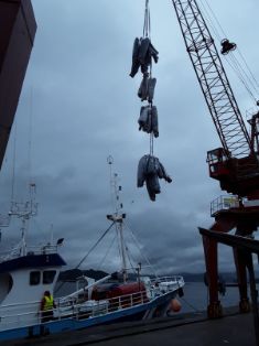 Lucha contra la pesca ilegal