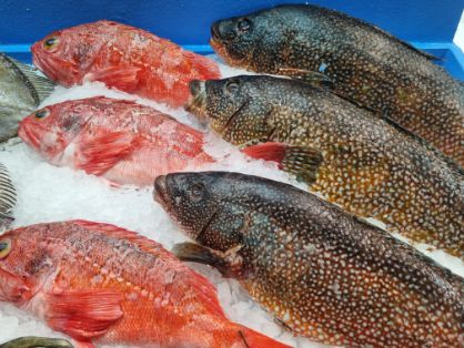 Hoy, durante la clausura de la Asamblea Anual de Fedepesca