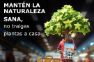 Cuarta edición de PlantHealth4Life