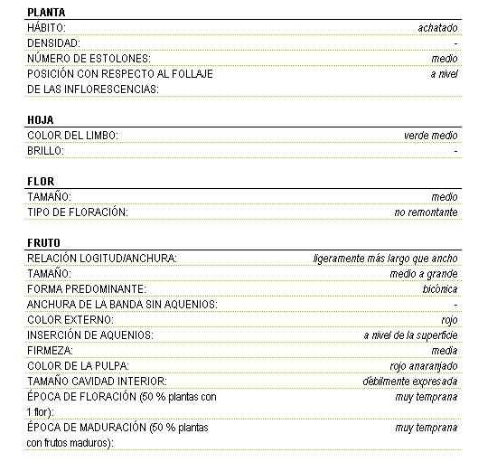 Planta de hbito achatado, nmero de estolones medio y posicin a nivel con respecto al follaje de las inflorescencias. Color del limbo de la hoja verde medio. La flor es de tamao medio no remontante. El fruto es ligeramente ms largo que ancho de tamao medio a grande y forma bicnica, firmeza media, color externo rojo, la insercin de aquenios a nivel de la superficie, el color de la pulpa es rojo anaranjado, el tamao de la cavidad interior es dbilmente expresada, la poca de floracin (50 por ciento plantas con una flor) y la poca de maduracin (50 por ciento plantas con frutos maduros) son muy tempranas.