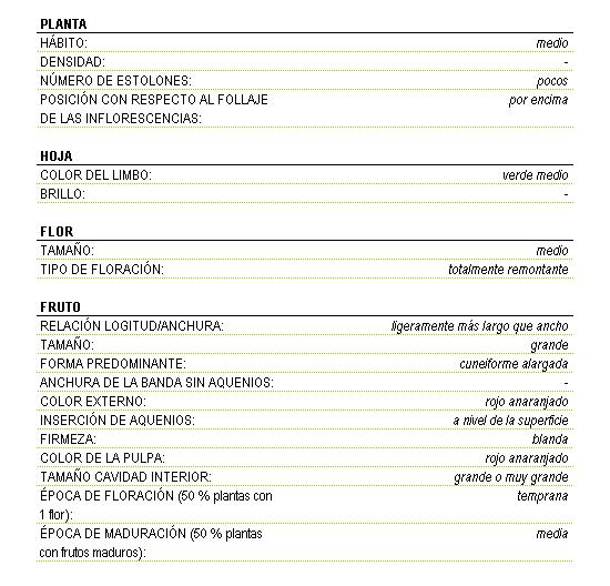 Planta de hbito medio, con pocos estolones y posicin por encima con respecto al follaje de las inflorescencias. Color del limbo de la hoja verde medio. La flor es de tamao medio totalmente remontante. El fruto es ligeramente ms largo que ancho de tamao grande y forma cuneiforme alargada, firmeza blanda, color externo rojo oscuro, la insercin de aquenios a nivel de la superficie,  el color de la pulpa es rojo anaranjado, el tamao de la cavidad interior es grande o muy grande, la poca de floracin (50 por ciento plantas con una flor) es temprana  y la poca de maduracin (50 por ciento plantas con frutos maduros) media.
