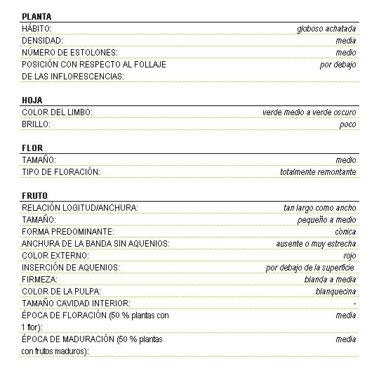 Planta de hbito globoso achatado, densidad media y nmero de estolones medio, posicionado por debajo  con respecto al follaje de las inflorescencias. La hoja tiene el color del limbo verde medio a verde oscuro con poco brillo. Flor de tamao medio totalmente remontante. El fruto es tan largo como ancho de tamao pequeo a medio y forma cnica, color externo rojo, insercin de aquenios por debajo de la superficie, firmeza blanda a media, anchura de la banda sin aquenios ausente o muy estrecha, color de la pulpa blanquecino,  la poca de floracin del 50 por ciento plantas con una flor es media, y la poca de maduracin del 50 por ciento de las plantas con frutos maduros es media.