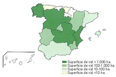 Mapa de Espaa en el que se muestra Galicia, Castilla Len, Castilla la Mancha y Comunidad Valenciana con una superficie de vid superior a 1000 hectreas, Navarra, Madrid, Murcia  y Extremadura entre 100 y 1000 hectreas, Andaluca, Catalua y Baleares de 10 a 100 hectreas y Cantabria y Pas Vasco con una superficie de vid inferior a 10 hectreas..