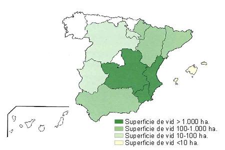 Mapa de Espaa  que muestra Murcia, Castilla la Mancha y Comunidad Valenciana con una superficie de vid superior a 1000 hectreas, Andaluca, Aragn, Navarra y Catalua tienen una superficie entre 100 y 1000 hectreas, Extremadura, Castilla Len y la Rioja entre 10 y 100 hectreas, y Baleares con una superficie de vid inferior a 10 hectreas..