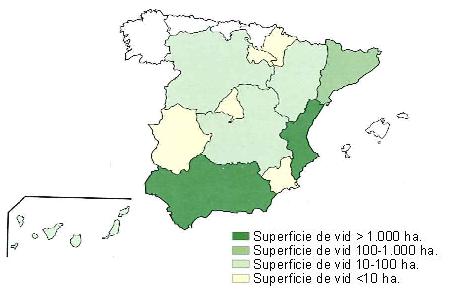 Mapa de Espa�a que muestra Andaluc�a y Comunidad Valenciana con una superficie de vid superior a 1000 hect�reas, Catalu�a tiene una superficie entre 100 y 1000 hect�reas, Arag�n, Castilla Le�n y Castilla la Macha tiene una superficie entre 10 y 100 hect�reas y Navarra, La Rioja, Madrid, Extremadura y Murcia con una superficie de vid inferior a 10 hect�reas..