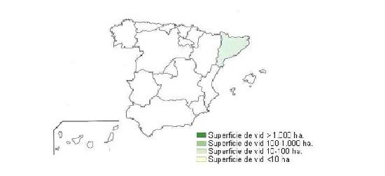 Mapa de Espaa que muestra que en Catalua la superficie de Vid est entre 10 a 100 hectreas.