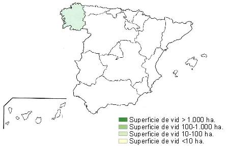 Mapa de Espaa  que muestra Galicia con una superficie de vid entre 100 y 1000 hectreas.