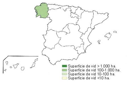 Mapa de Espaa  que muestra Galicia con una superficie de vid entre 100 y 1000 hectreas.