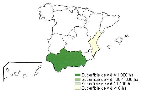Mapa de Espaa  que muestra Andaluca con una superficie de vid superior a 1000 hectreas, y Comunidad Valenciana con una superficie inferior a 10 hectreas.