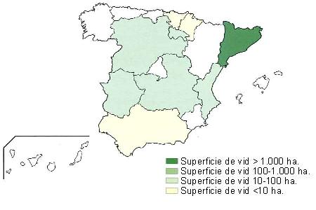 Mapa de Espa�a en el que  se muestra Catalu�a con una superficie de vid superior a 1000 hect�reas, La rioja, Castilla Le�n, Castilla la Mancha, Comunidad Valenciana y Extremadura con una superficie entre 10 y 100 hect�reas y Andaluc�a, Navarra y Pa�s Vasco con una superficie de vid inferior a 10 hect�reas.