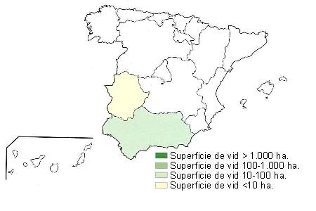 Mapa de Espa�a  que muestra  Andaluc�a con una superficie entre 10 y 100 hect�reas, y Andaluc�a con una superficie de vid inferior a 10 hect�reas..