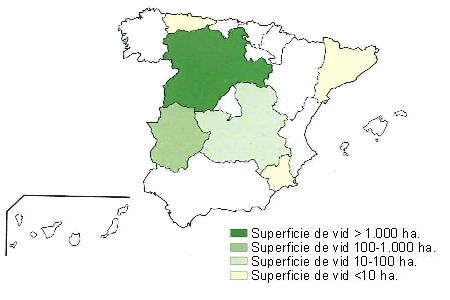 Mapa de Espa�a  que muestra Castilla Le�n con una superficie de vid superior a 1000 hect�reas, Extremadura tiene una superficie entre 100 y 1000 hect�reas, Castilla la Mancha, entre 10 y 100 hect�reas y Catalu�a, Murcia y Asturias tiene una superficie inferior a 10 hect�reas.