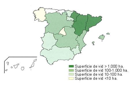 Mapa de Espaa en el que se muestra la distribucin de la superficie de vid en hectreas. Catalua, Navarra y Aragn ms de 1000 hectreas, Castilla Len, Castilla la Mancha y la comunidad Valenciana de 100 a 1000 hectreas, Extremadura, Andaluca, Murcia, Rioja y Pas Vasco de 10 a 100 hectreas y Galicia y Madrid, menos de 10 hectreas.