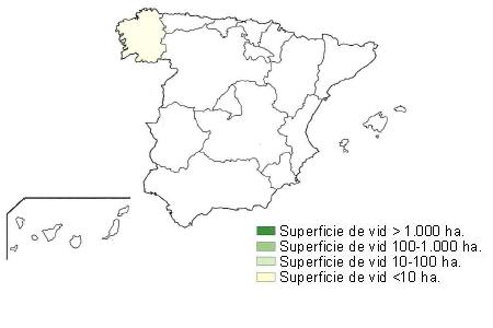 Mapa de España en el que se muestra la distribución de la superficie de vid en hectáreas. Galicia tiene una superficie menor de 10 hectáreas.