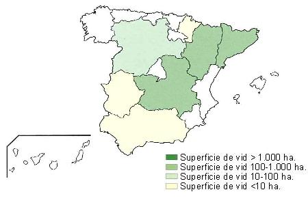 Mapa de Espaa en el que se muestra Catalua, Aragn y Castilla la Mancha con una superficie de vid superior a 1000 hectreas, Castilla Len entre 100 y 1000 hectreas, Navarra , Extremadura y Andaluca con una superficie de vid inferior a 10 hectreas..